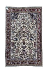 6x10 N/A Rug- WOOL/WOOL