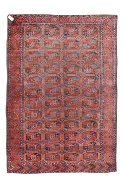 7x10 BUHARA Rug- WOOL/WOOL